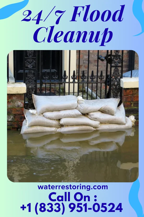 24/7 Flood Cleanup in Montrose, AR